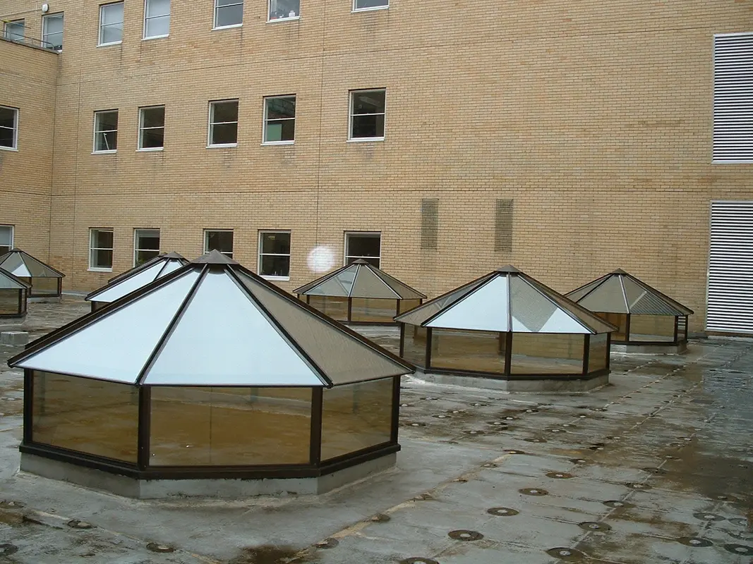 Flat Roof Skylights South Woodford